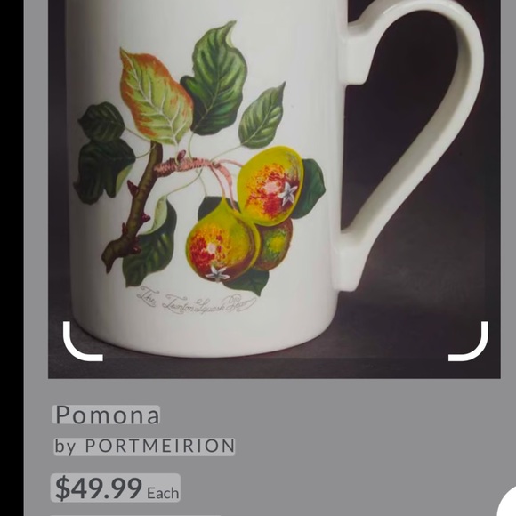 Pomona Port Meirion Fig - Picture 9 of 9